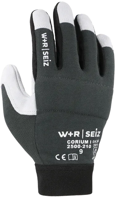 CORIUM 2500-210