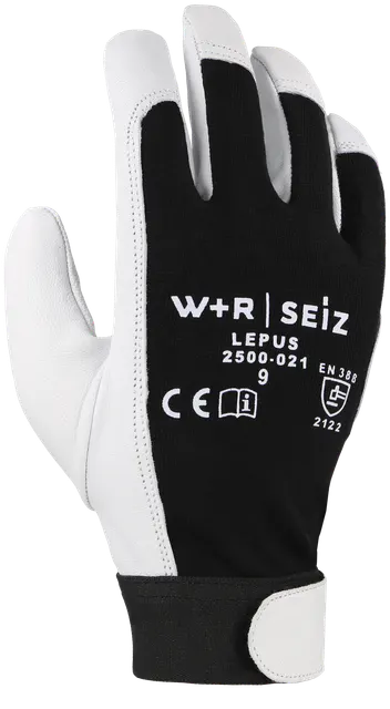 LEPUS