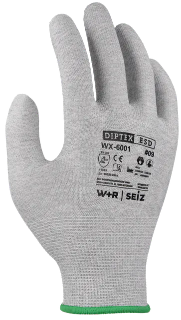 DIPTEX ESD WX-6001
